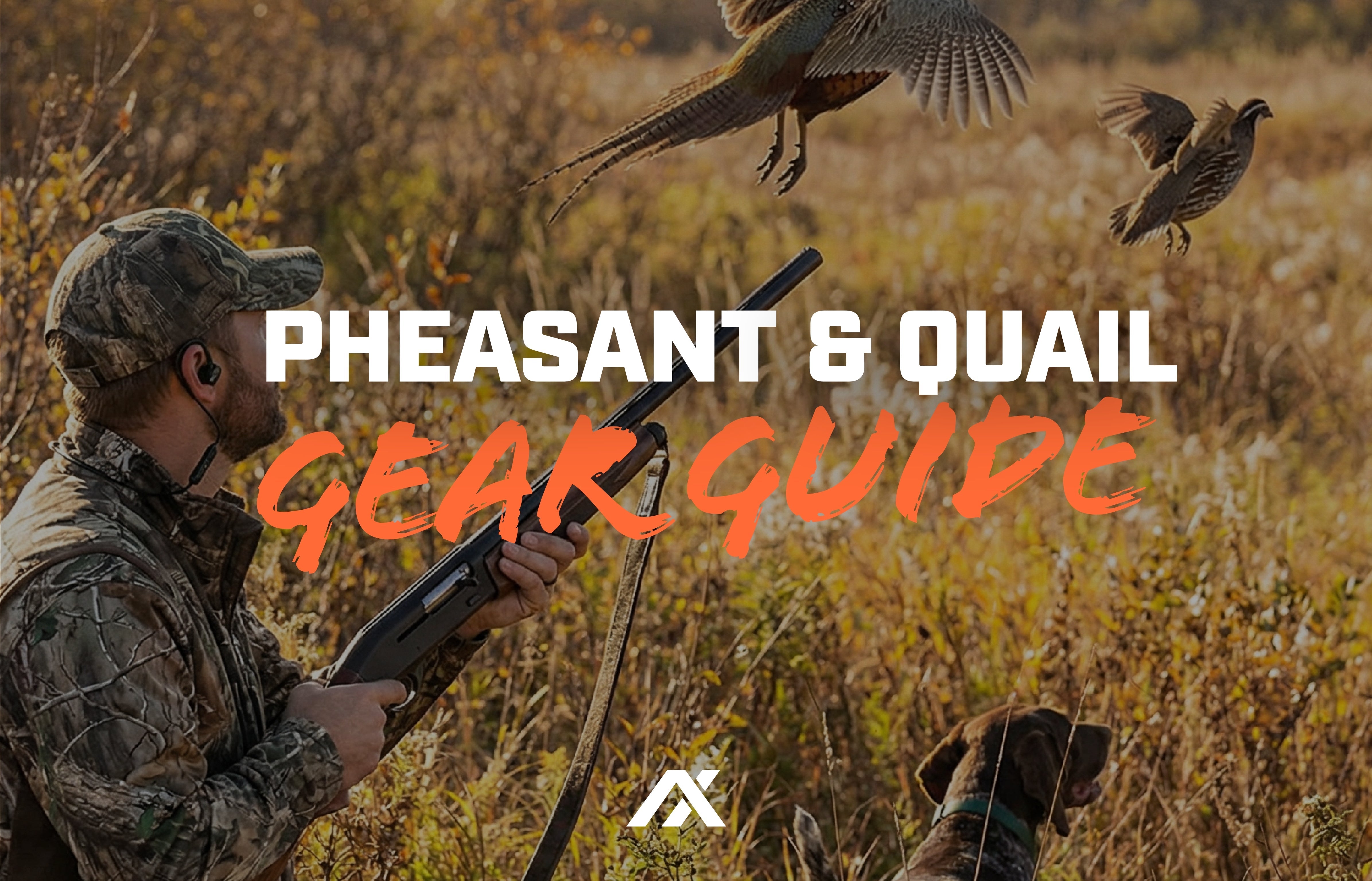 Upland Gear Guide: Pheasant and Quail Hunting Gear Guide