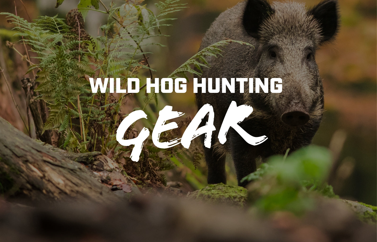 Wild Hog Hunting Gear: Essential Equipment for a Successful Hunt – AXIL