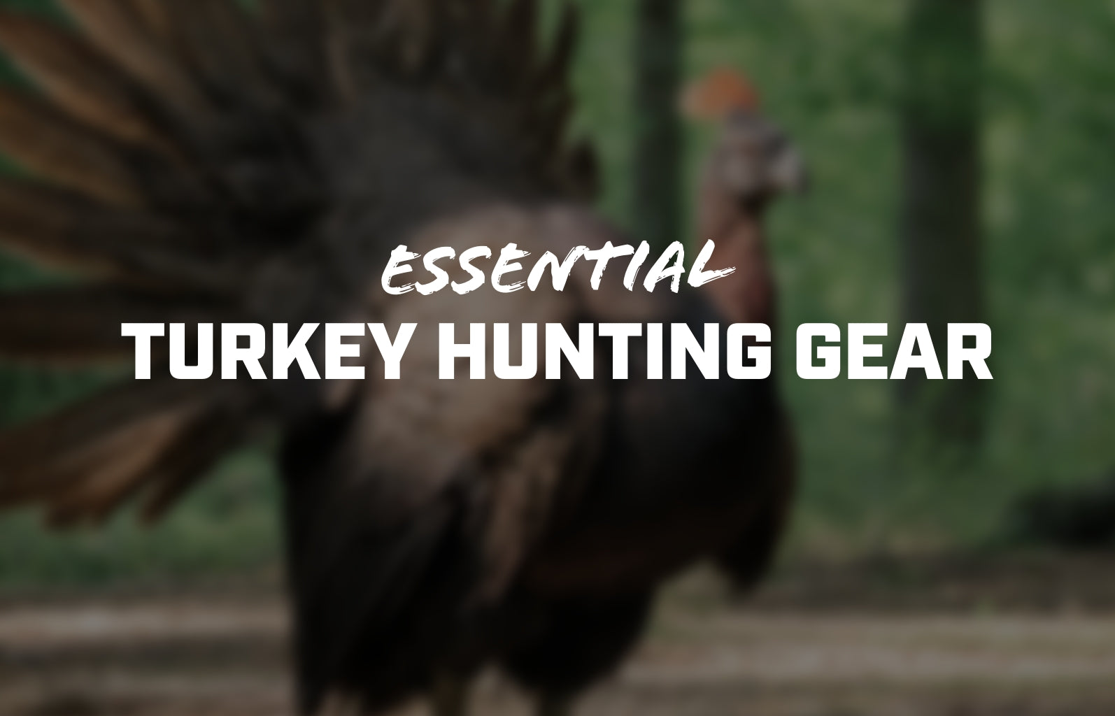 Turkey Hunting Equipment to Maximize Your Experience